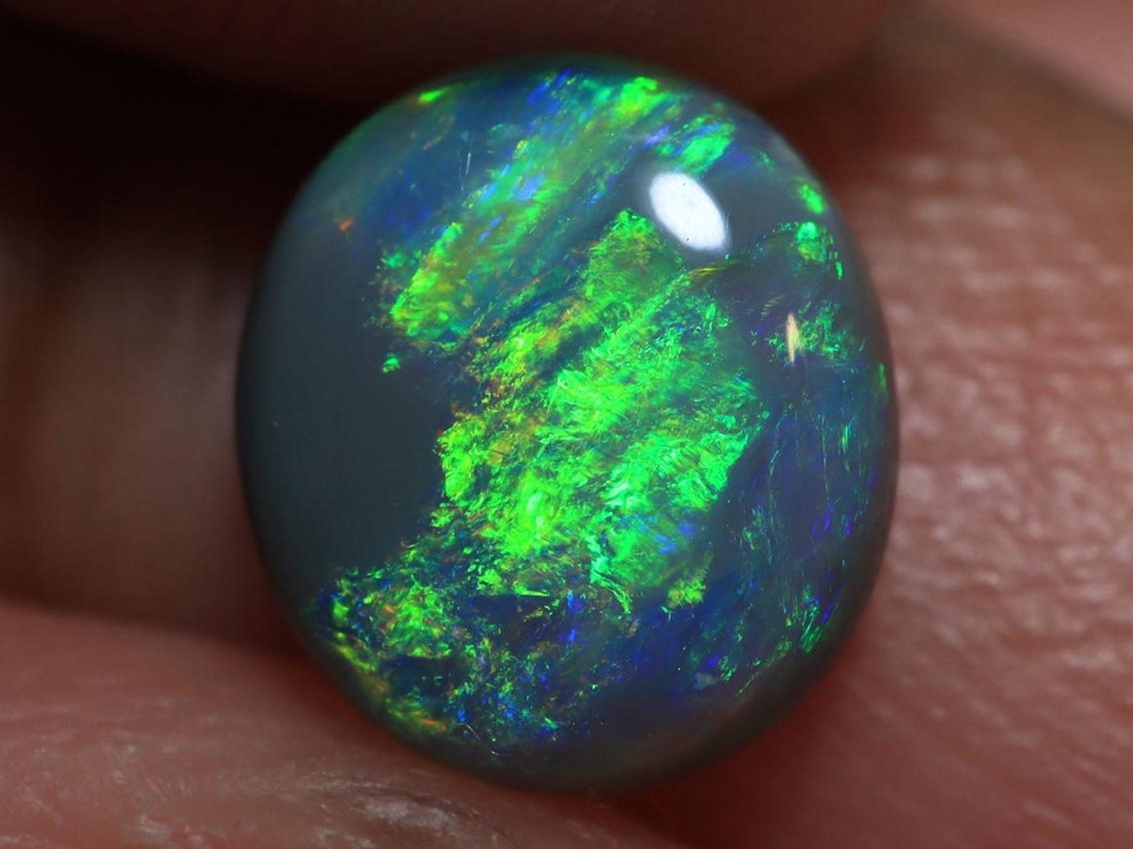 1.40 Ct. Lightning Ridge Black Opal TOG-925