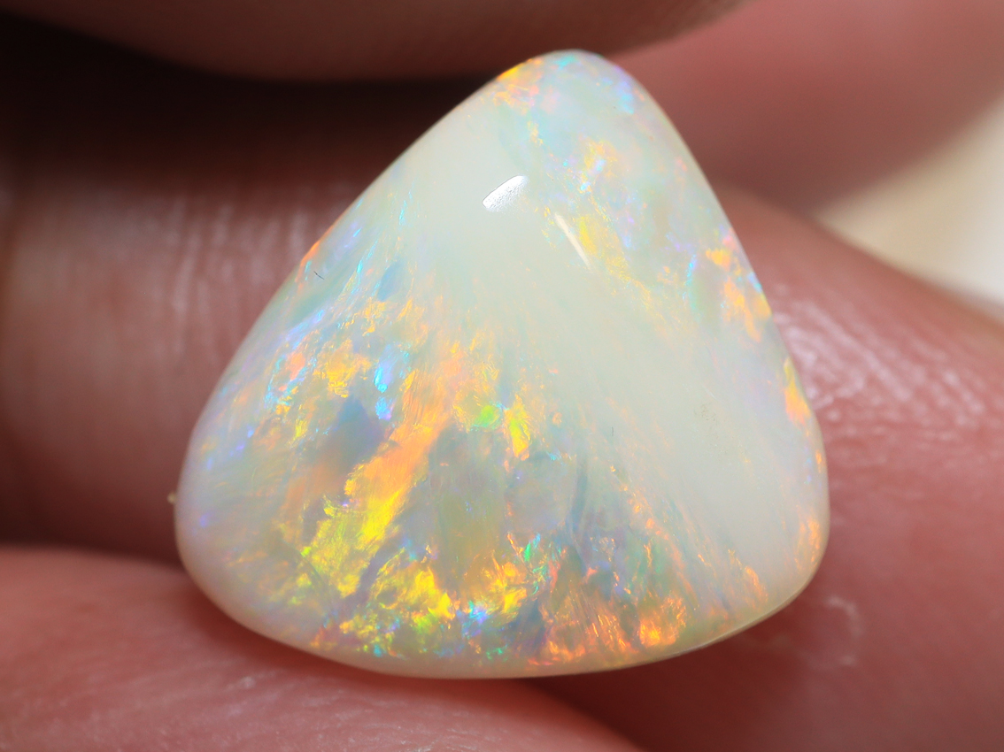 N6 4.5 Ct. Lightning Ridge Multi Colour Dark Opal TOG-856